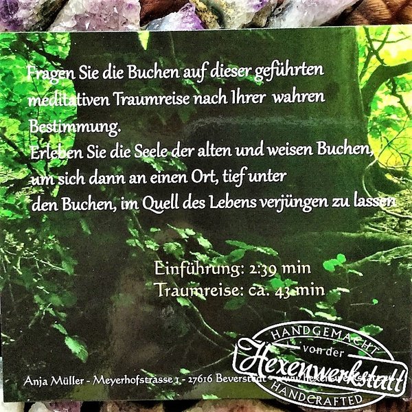Traumreise - Buche - CD
